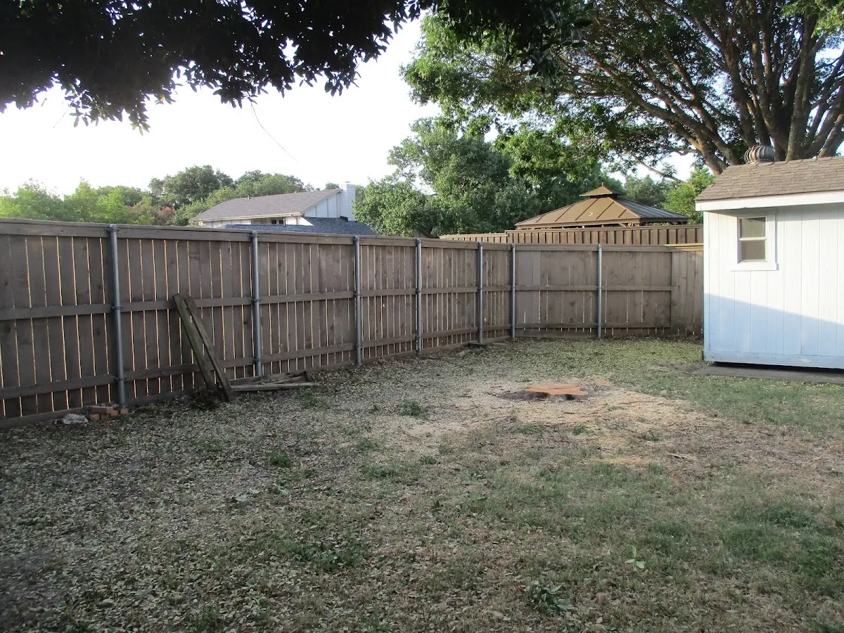 Cleared yard after professional tree removal in Bluffton