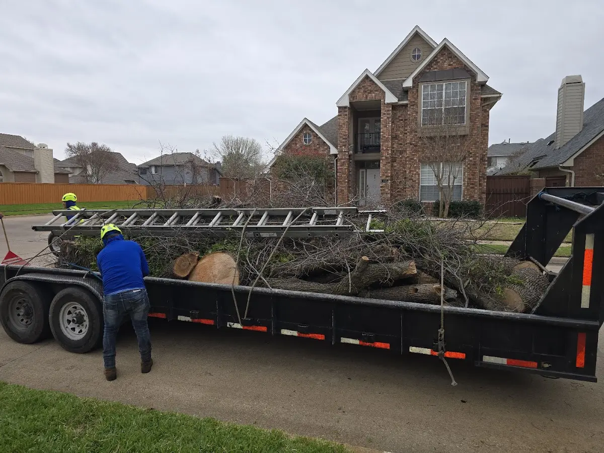 Expert Lot Clearing with proper safety equipment in Bluffton